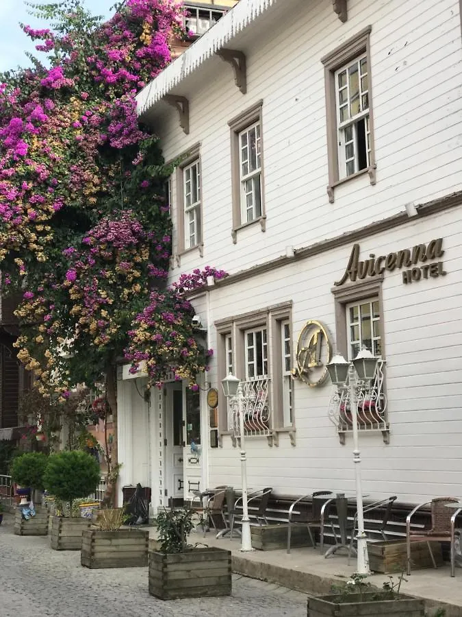 Avicenna Hotel Sultanahmet Istanbul 4*,  Turkey